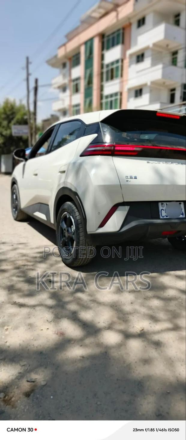 BYD Seagull 2024