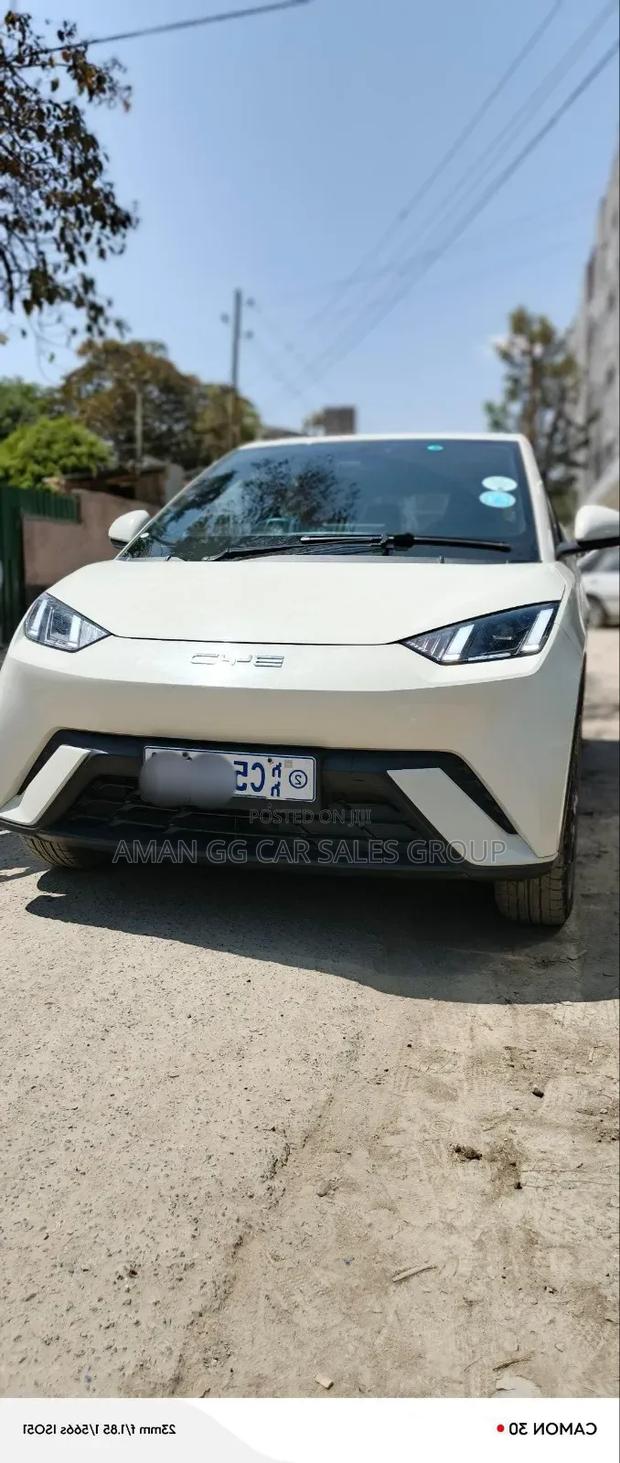 BYD Seagull 2023 Orange