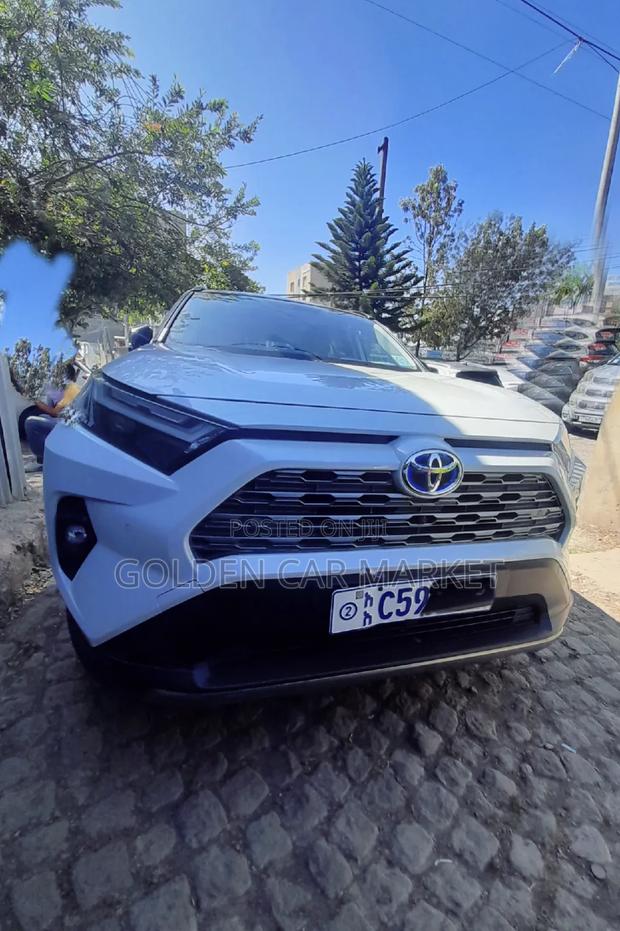 New Toyota RAV4 2023 White