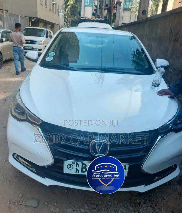 Changan Alsvin 2021 White