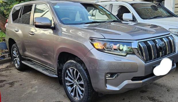 Toyota Land Cruiser 2019 Gray