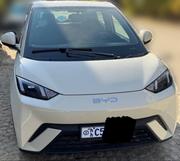 BYD Seagull 38 kWh FWD 2024 Ivory for sale
