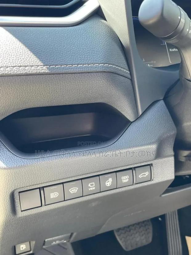 New Toyota RAV4 2024 Gray