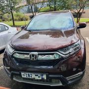 Honda CR-V 2020 Burgundy for sale