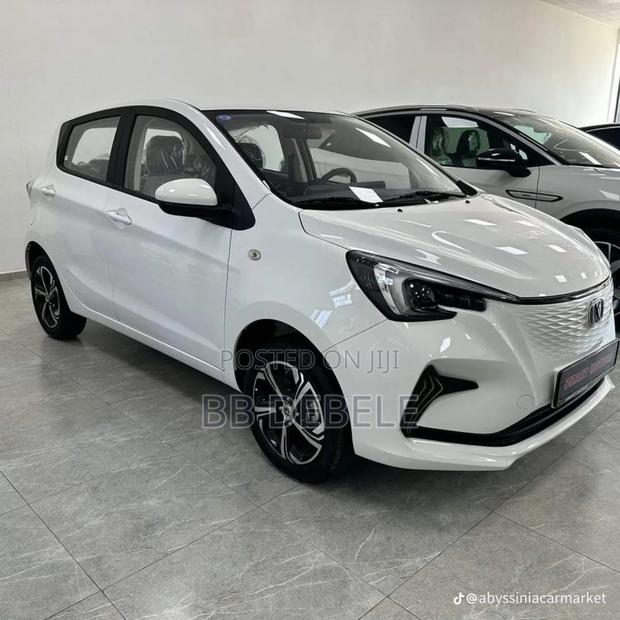 Changan BenBen E-Star 2024 White