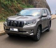 Toyota Land Cruiser 2019 Gray for sale