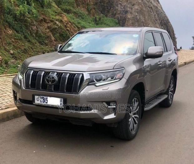 Toyota Land Cruiser 2019 Gray