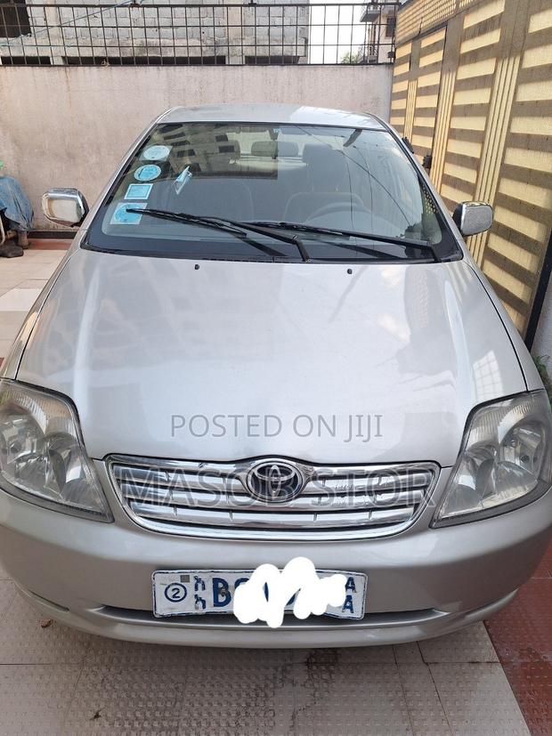 Toyota Corolla 2003 Gray