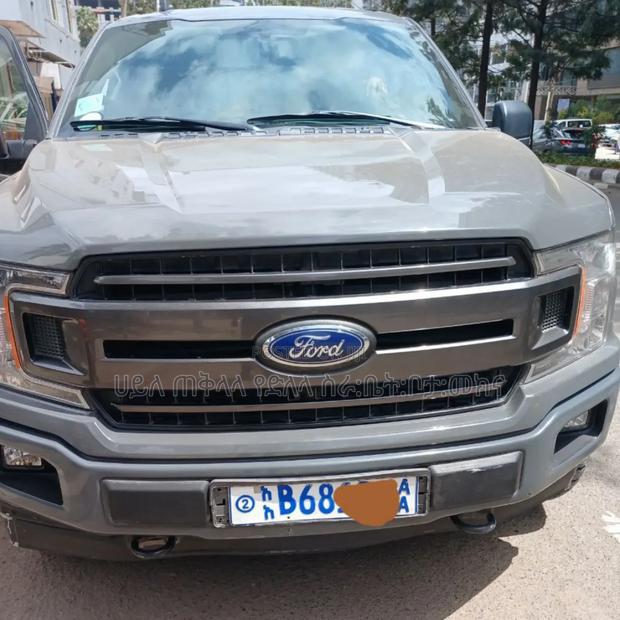 Ford F-150 2019 Beige