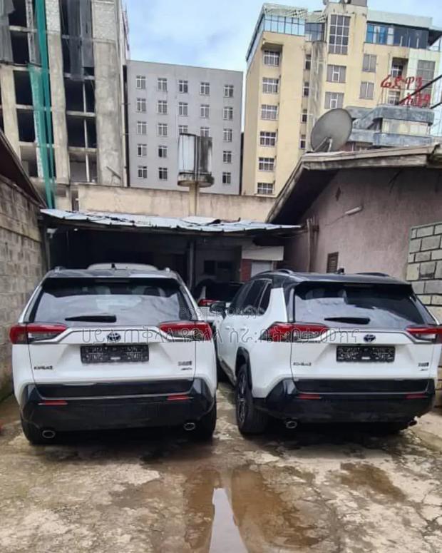 New Toyota RAV4 Hybrid 2024 White