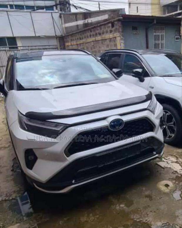 New Toyota RAV4 Hybrid 2024 White