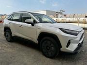 New Toyota RAV4 2024 White for sale