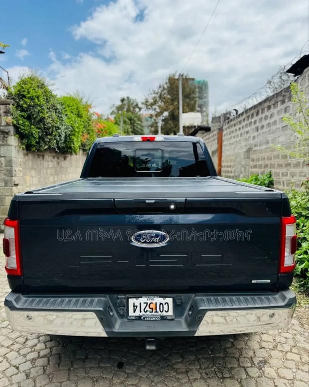 Ford F-150 2021 Gray