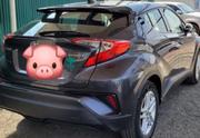 Toyota C-HR 2024 Gray for sale