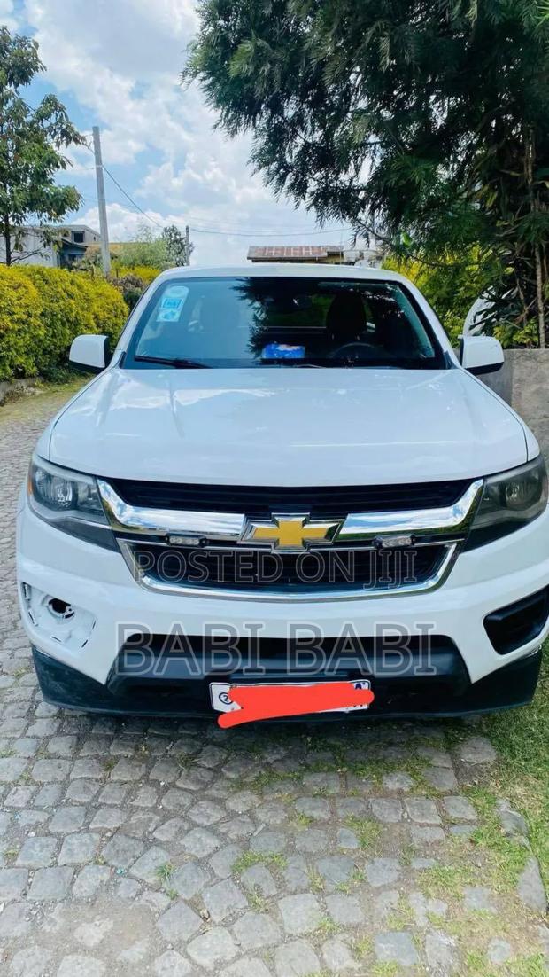 Chevrolet Silverado 1500 2020 White