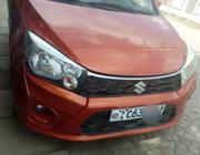 Suzuki Celerio 2019 Red for sale