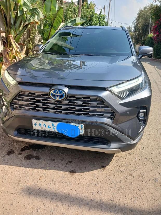 New Toyota RAV4 2023