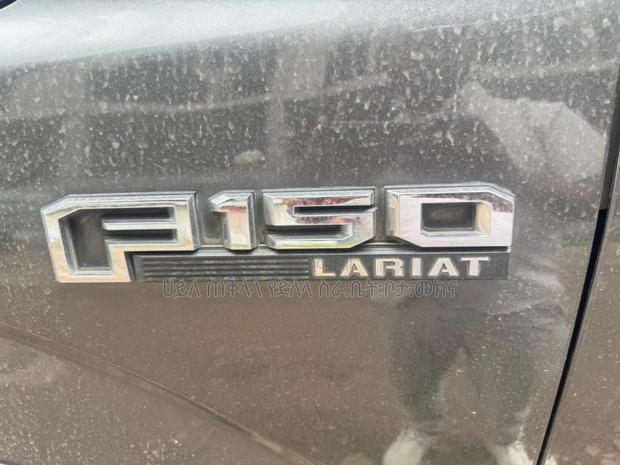 Ford F-150 2020 Gray