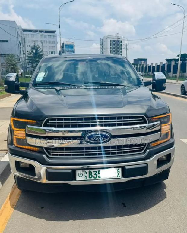 Ford F-150 2020 Gray