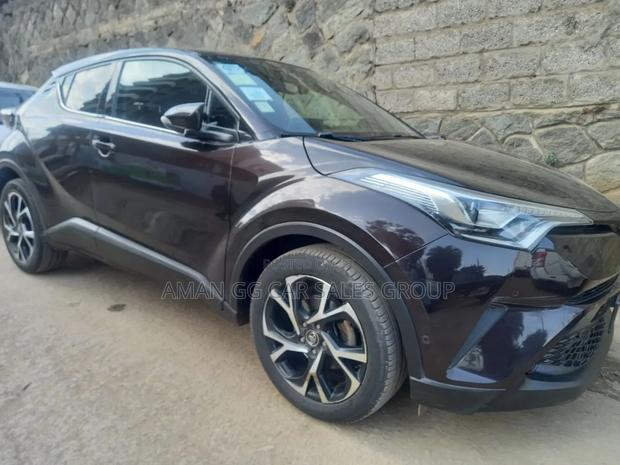 Toyota C-HR 2020 Brown