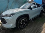 New BYD Song L DM-i 2025 Ivory for sale