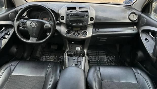 Toyota RAV4 2010 Brown