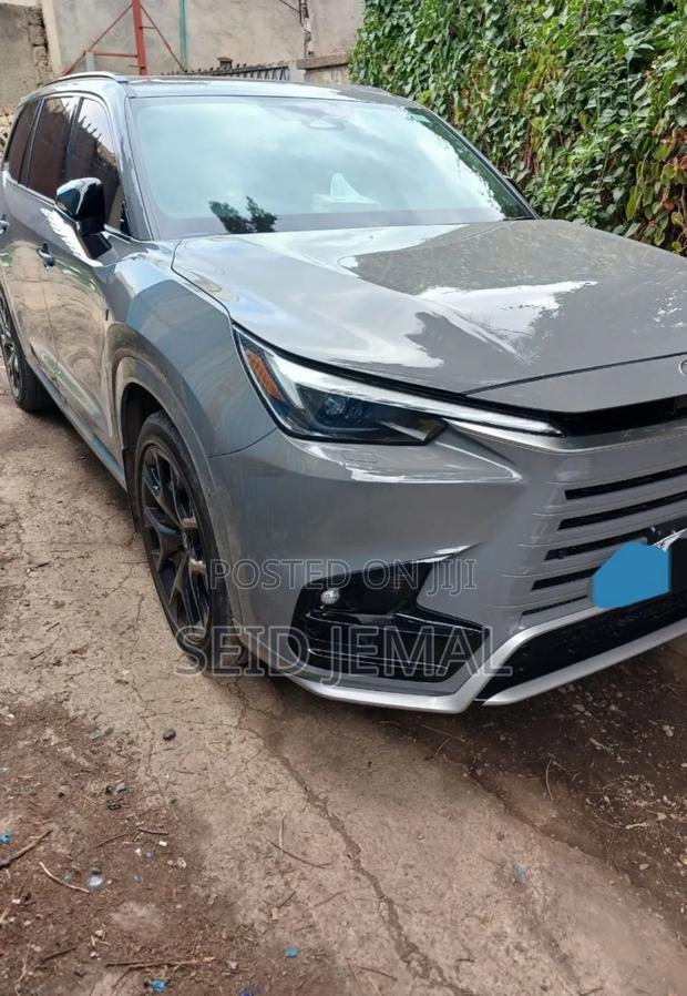Lexus TX 2024 Gray