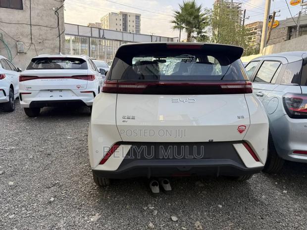 New BYD Seagull 2025 Brown