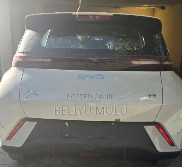 New BYD Seagull 2025 Brown