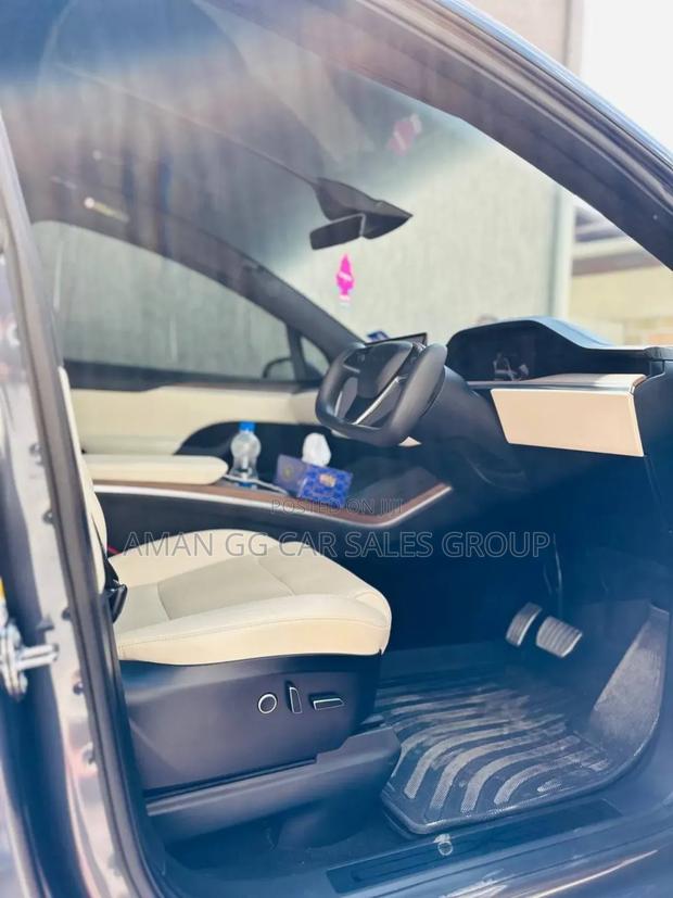 Tesla Model X 2023 Gray
