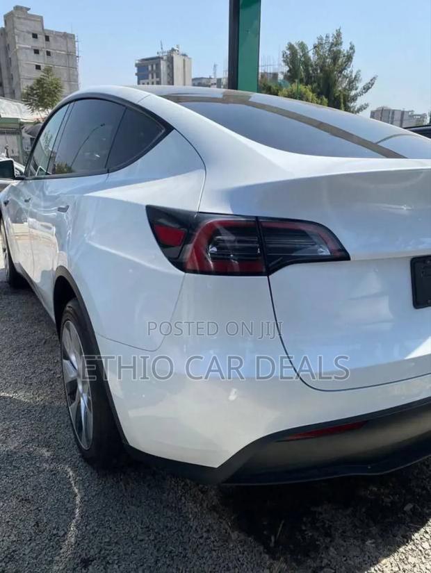 Tesla Model Y 2023 White
