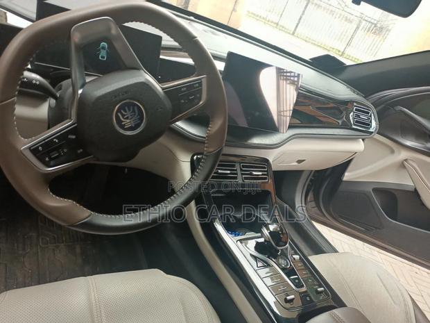 BYD Qin Plus DM-i 2024 Gray