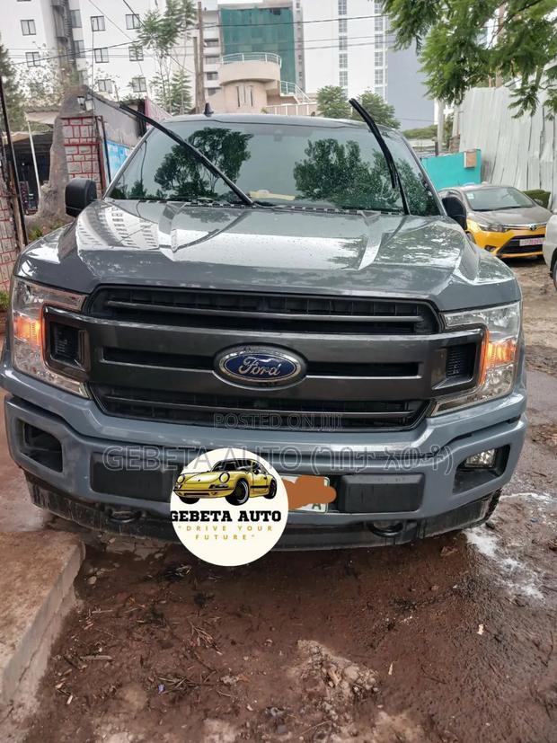 Ford F-150 2020 Gray