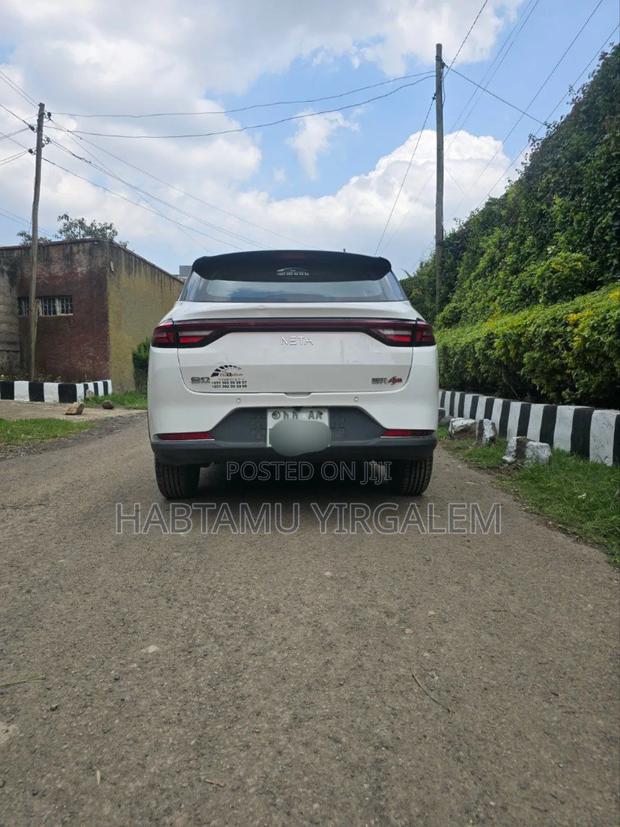 Hozon Neta Aya 2024 White