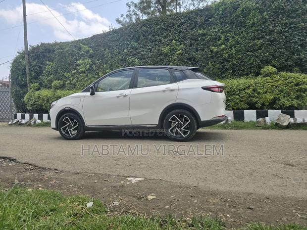Hozon Neta Aya 2024 White