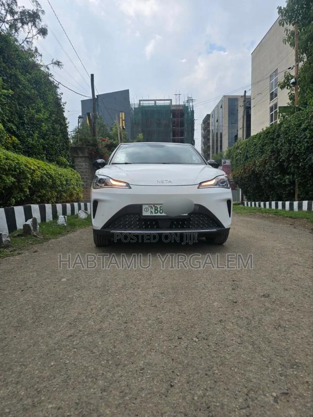 Hozon Neta Aya 2024 White
