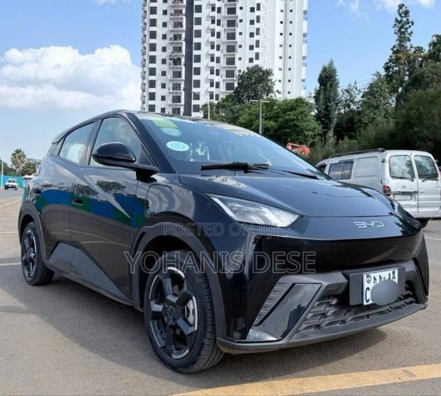 BYD Seagull 2024 Black
