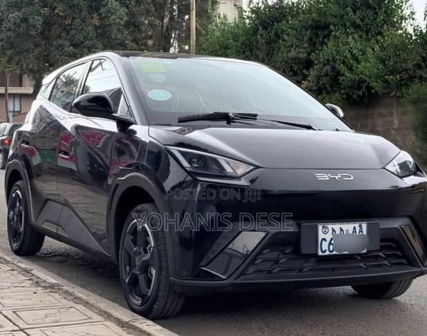 BYD Seagull 2024 Black