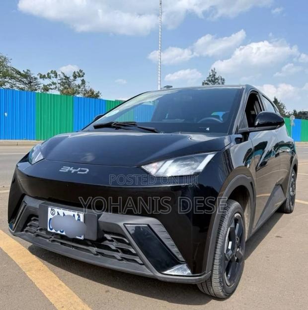 BYD Seagull 2024 Black