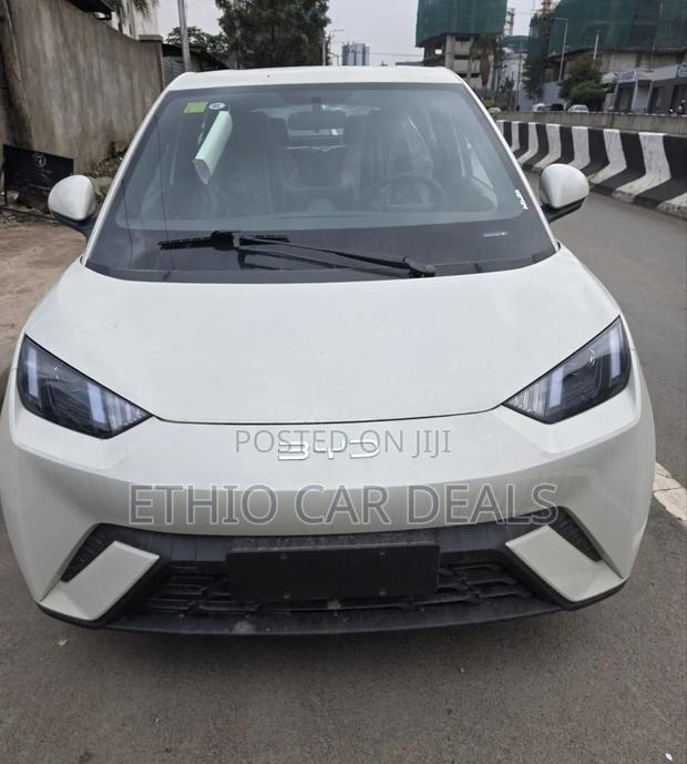 New BYD Seagull 2025 White