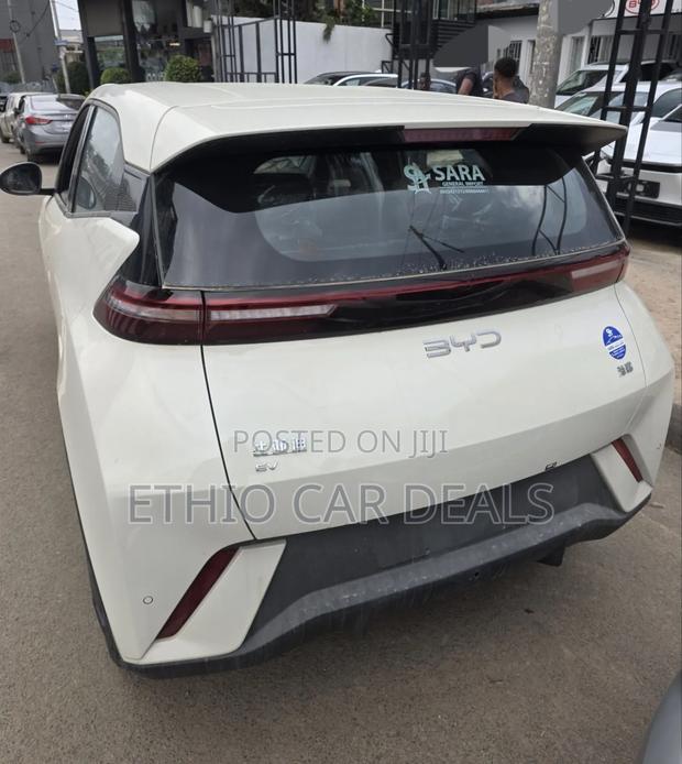 New BYD Seagull 2025 White