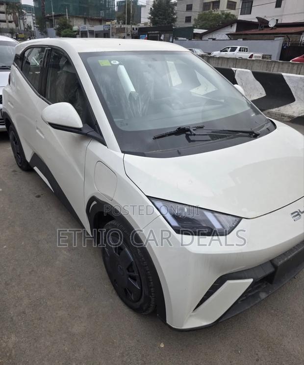 New BYD Seagull 2025 White