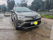 Toyota RAV4 2017 Brown for sale