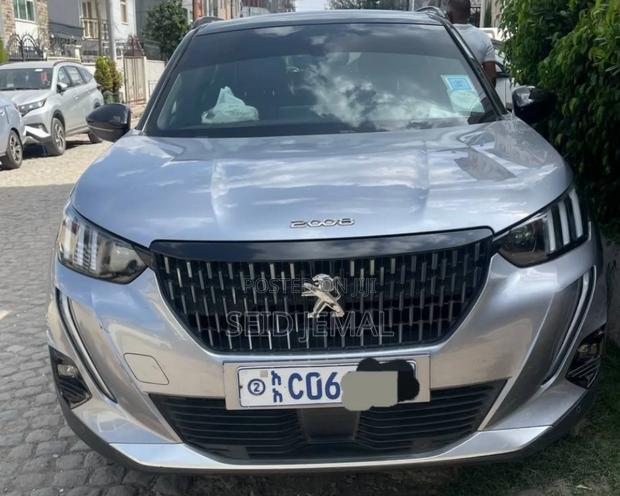 Peugeot 2008 2022 Gray