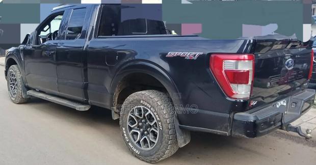 Ford F-150 2021 Brown