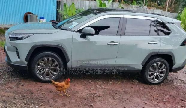 Toyota RAV4 TRD Off Road 2022 Gray