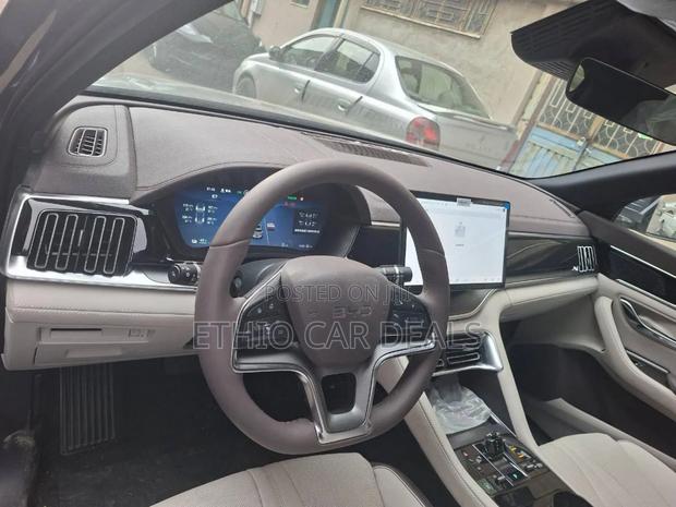 New BYD Song Plus 2024 Gray