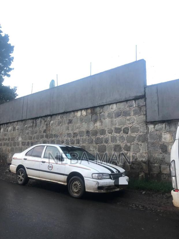 Nissan Sunny 2000 White