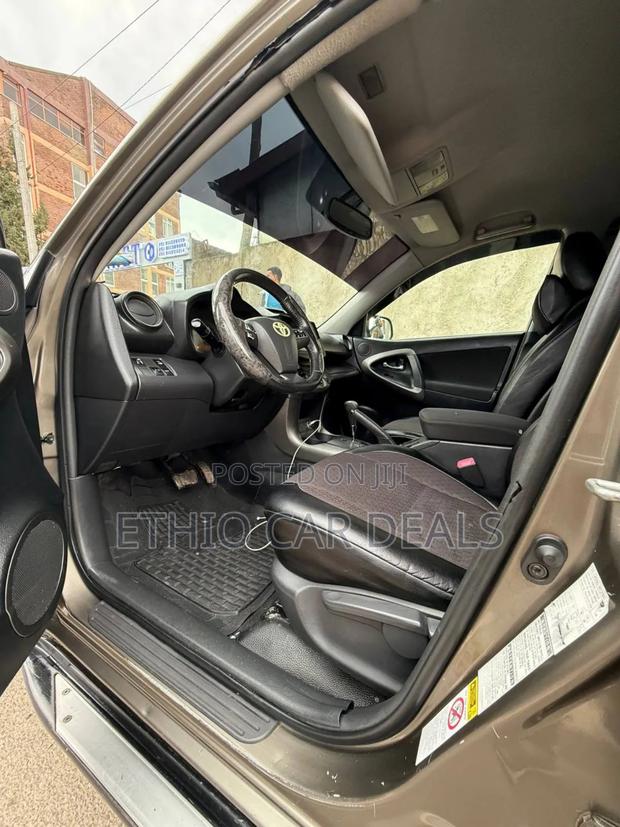 Toyota RAV4 2010 Brown