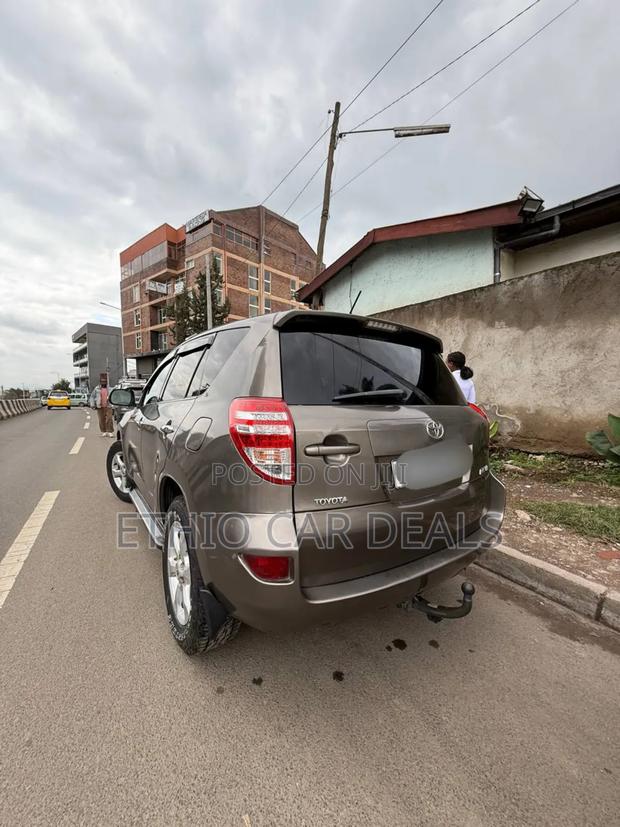 Toyota RAV4 2010 Brown